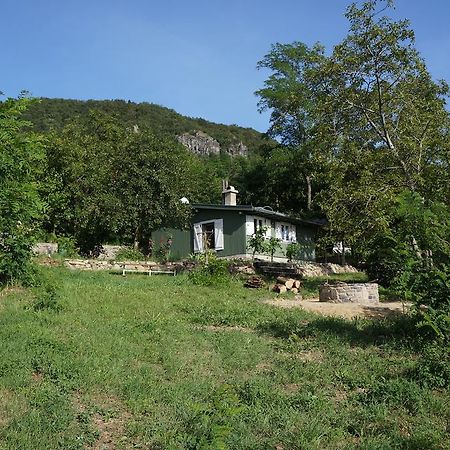 Badacsony Vendeghaz Villa Badacsonytördemic Rom bilde