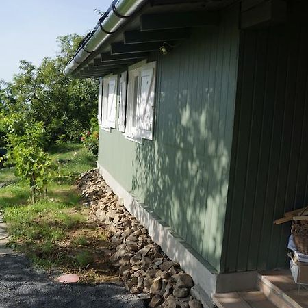 Badacsony Vendeghaz Villa Badacsonytördemic Rom bilde