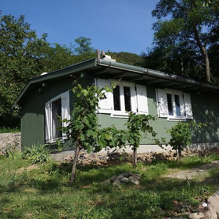 Badacsony Vendeghaz Villa Badacsonytördemic Rom bilde