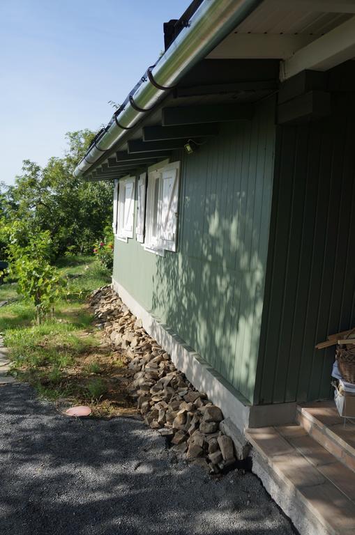Badacsony Vendeghaz Villa Badacsonytördemic Rom bilde
