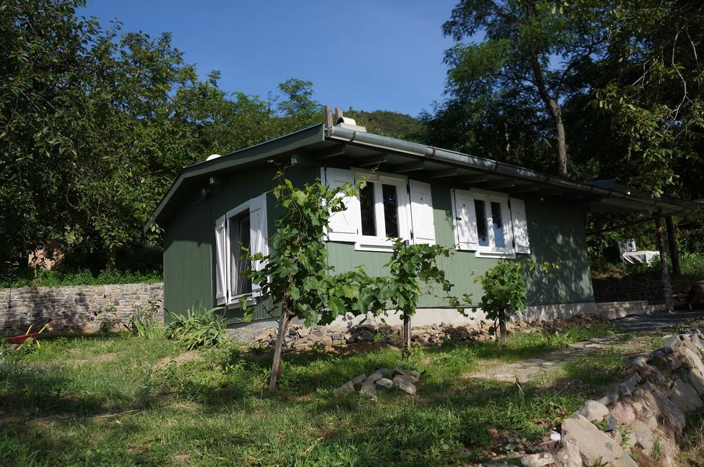 Badacsony Vendeghaz Villa Badacsonytördemic Rom bilde