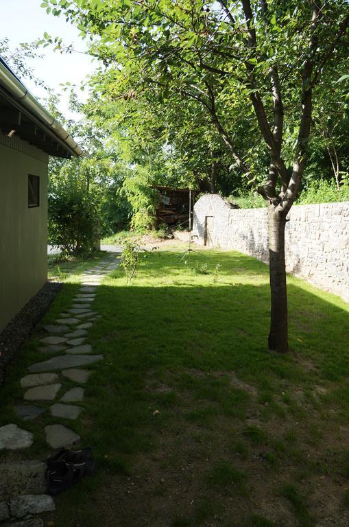Badacsony Vendeghaz Villa Badacsonytördemic Rom bilde